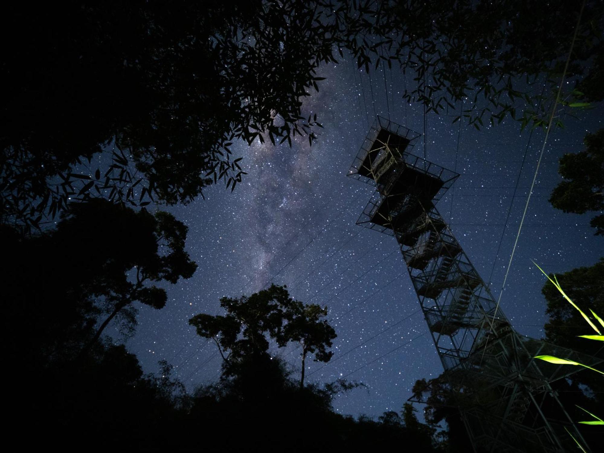 הוילה Tambopata Research Center מראה חיצוני תמונה